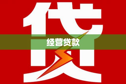 大林经营贷款