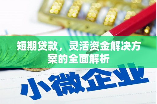 大林短期贷款，灵活资金解决方案的全面解析