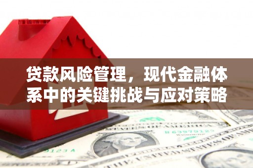 大林贷款风险管理，现代金融体系中的关键挑战与应对策略