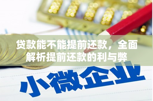 大林贷款能不能提前还款，全面解析提前还款的利与弊