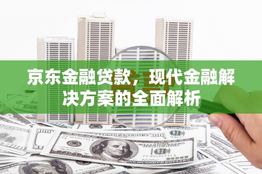 大林京东金融贷款，现代金融解决方案的全面解析