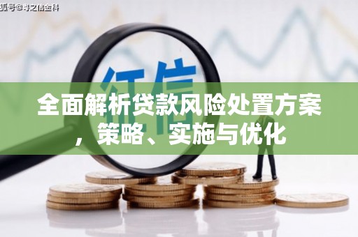 大林全面解析贷款风险处置方案，策略、实施与优化