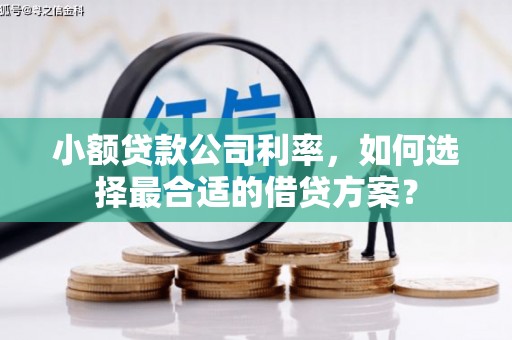 大林小额贷款公司利率，如何选择最合适的借贷方案？