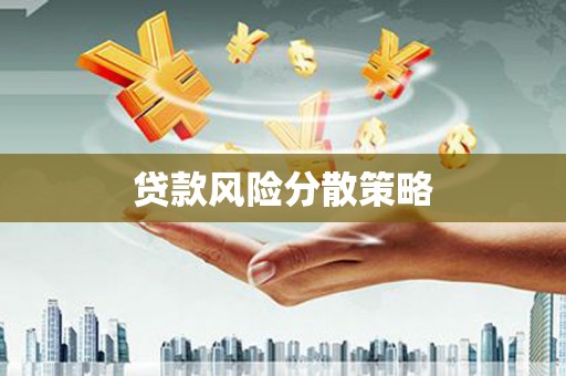 大林贷款风险分散策略