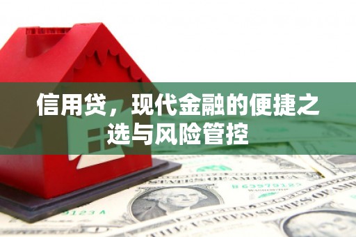 大林信用贷，现代金融的便捷之选与风险管控