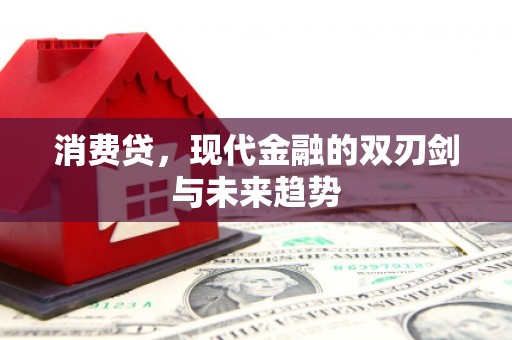 大林消费贷，现代金融的双刃剑与未来趋势
