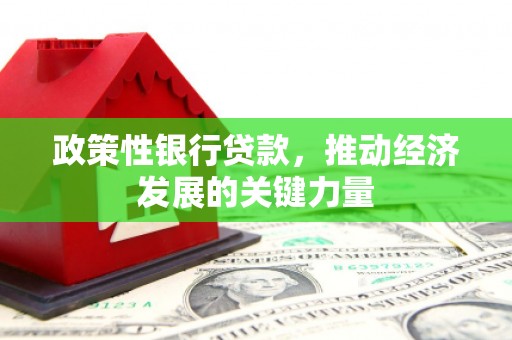 大林政策性银行贷款，推动经济发展的关键力量