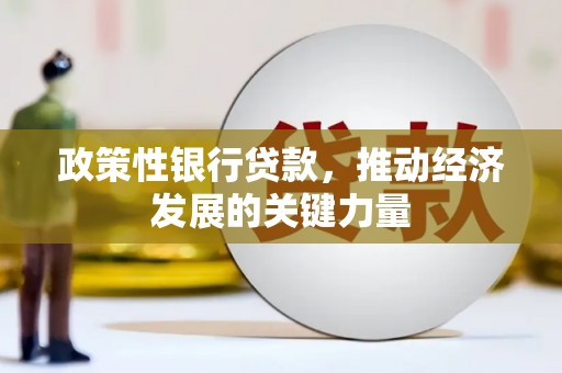 大林政策性银行贷款，推动经济发展的关键力量