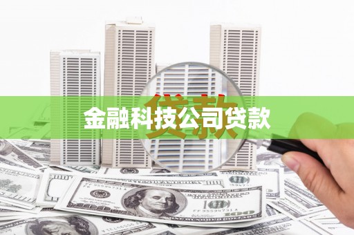 大林金融科技公司贷款