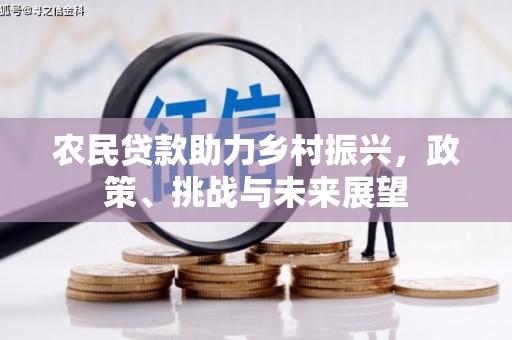 大林农民贷款助力乡村振兴，政策、挑战与未来展望