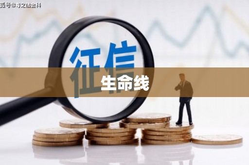 大林生命线