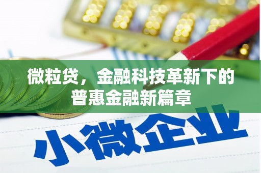 大林微粒贷，金融科技革新下的普惠金融新篇章