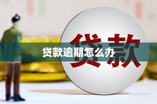 大林贷款逾期怎么办