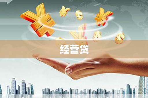 大林经营贷