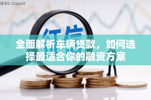大林全面解析车辆贷款，如何选择最适合你的融资方案