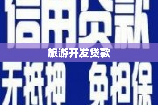 大林旅游开发贷款