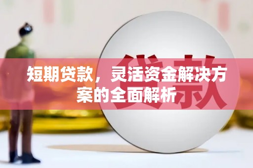 大林短期贷款，灵活资金解决方案的全面解析