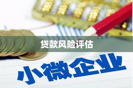 大林贷款风险评估
