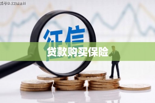 大林贷款购买保险