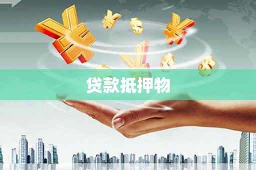 大林贷款抵押物