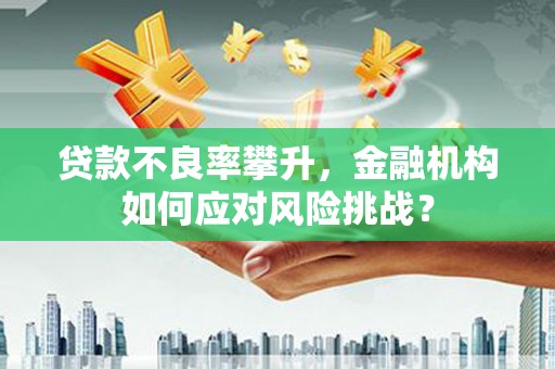 大林贷款不良率攀升，金融机构如何应对风险挑战？