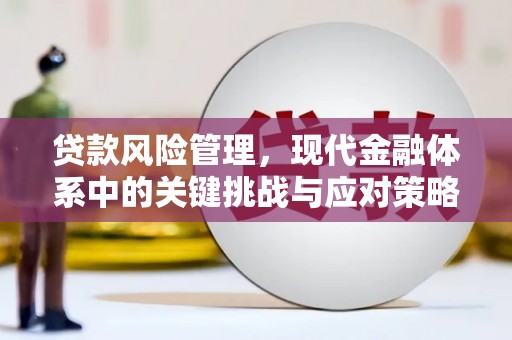 大林贷款风险管理，现代金融体系中的关键挑战与应对策略