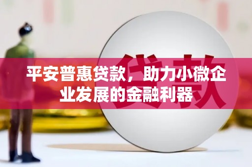 大林平安普惠贷款，助力小微企业发展的金融利器