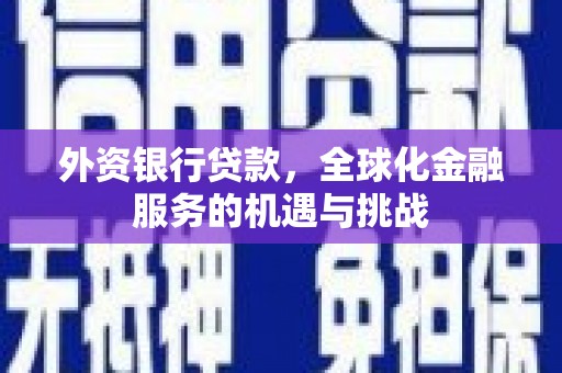 大林外资银行贷款，全球化金融服务的机遇与挑战