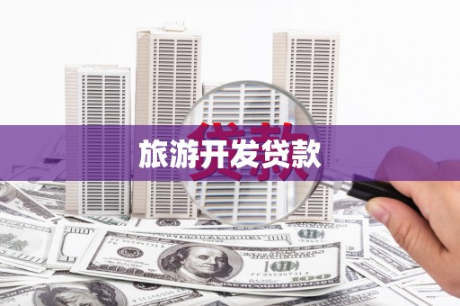 大林旅游开发贷款