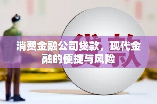大林消费金融公司贷款，现代金融的便捷与风险