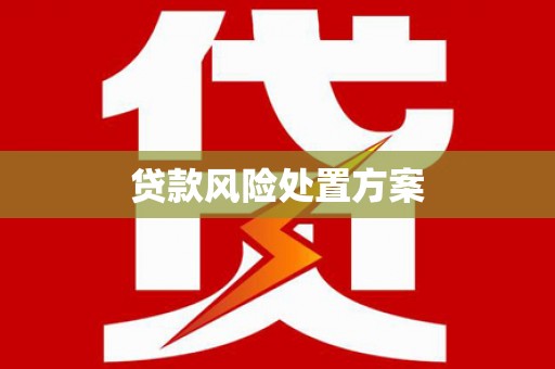 大林贷款风险处置方案