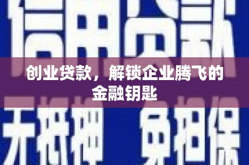 大林创业贷款，解锁企业腾飞的金融钥匙