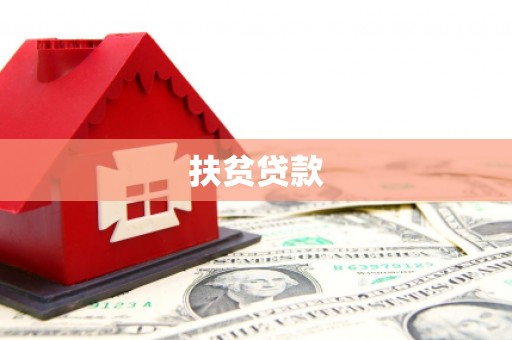 大林扶贫贷款