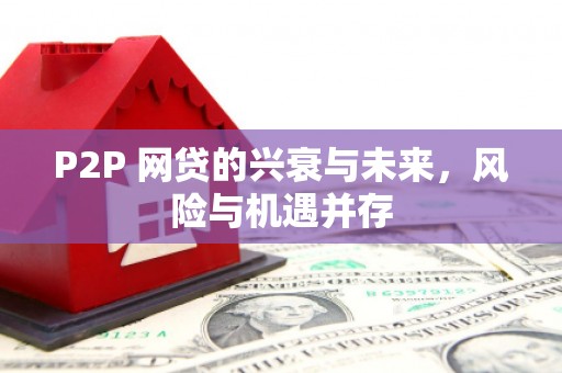 大林P2P 网贷的兴衰与未来，风险与机遇并存