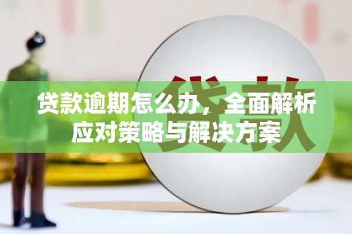 大林贷款逾期怎么办，全面解析应对策略与解决方案
