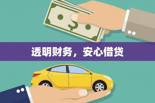 大林透明财务，安心借贷