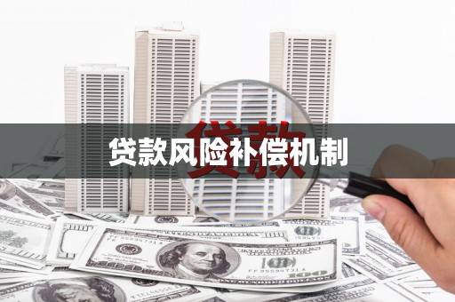 大林贷款风险补偿机制