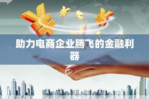 大林助力电商企业腾飞的金融利器