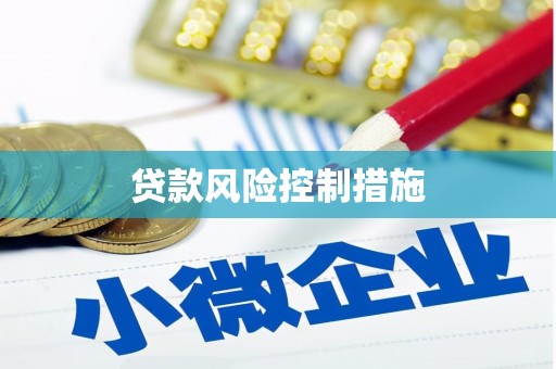 大林贷款风险控制措施