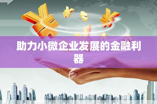 大林助力小微企业发展的金融利器
