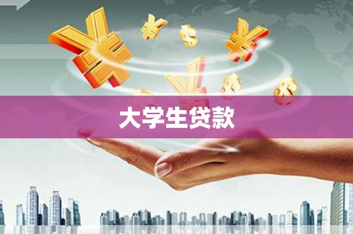 大林大学生贷款