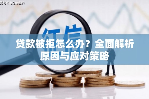 大林贷款被拒怎么办？全面解析原因与应对策略