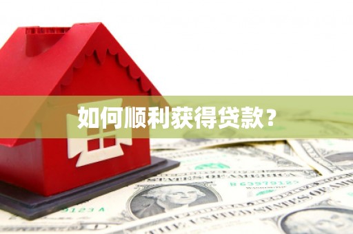 大林如何顺利获得贷款？