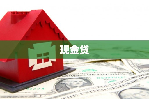 大林现金贷
