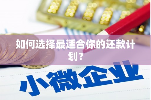 大林如何选择最适合你的还款计划？