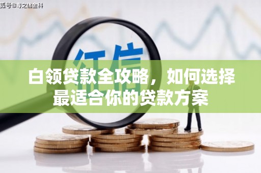 大林白领贷款全攻略，如何选择最适合你的贷款方案