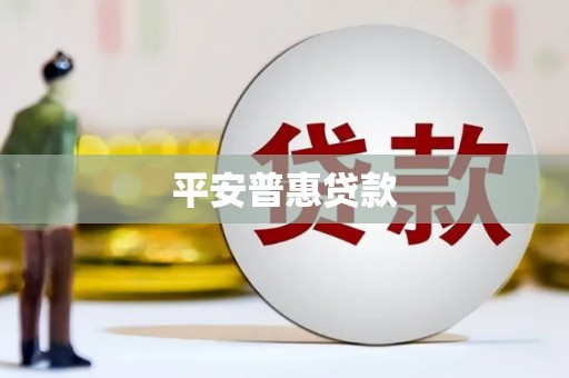 大林平安普惠贷款