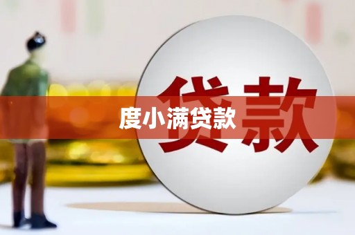 大林度小满贷款