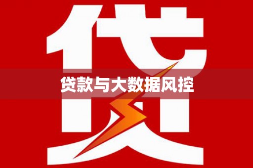 大林贷款与大数据风控