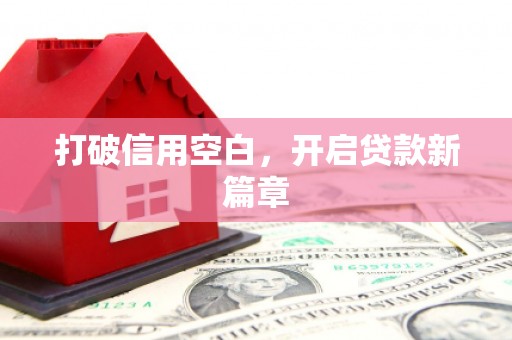 大林打破信用空白，开启贷款新篇章